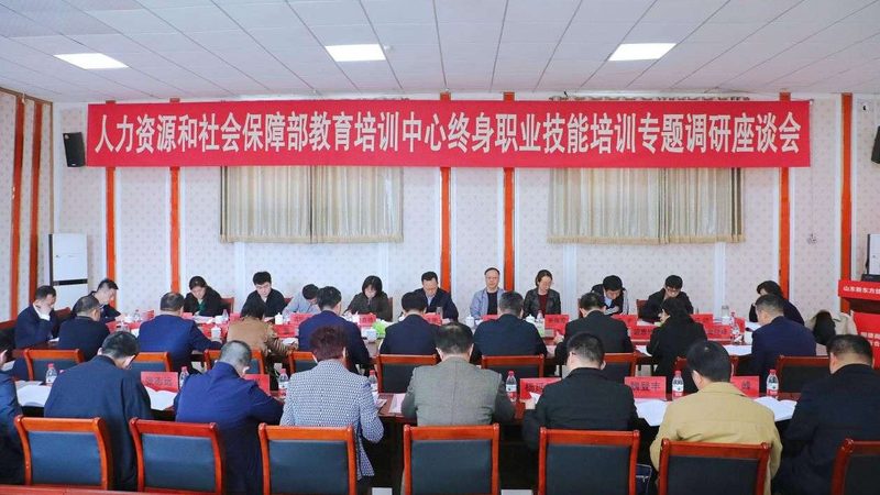 学历教育与技能培训：本质区别与选择指南**