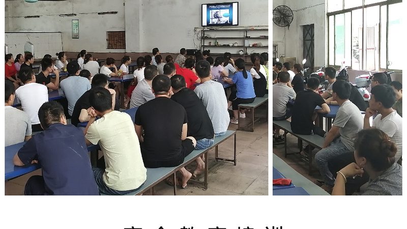 理论题库：知识体系的构建与巩固